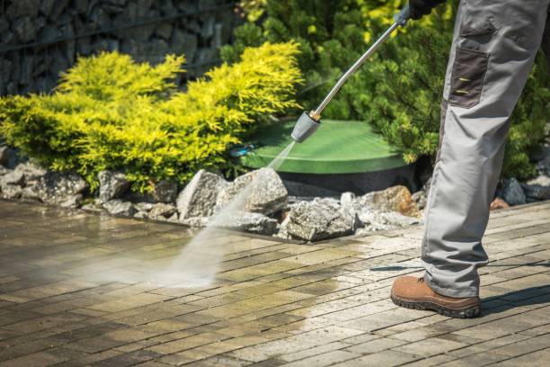 Best Spring Cleaning  in Walbridge, OH