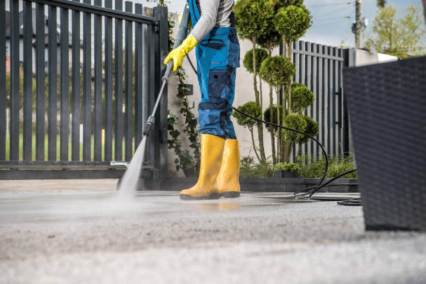 Best Dumpster Area Cleaning  in Walbridge, OH